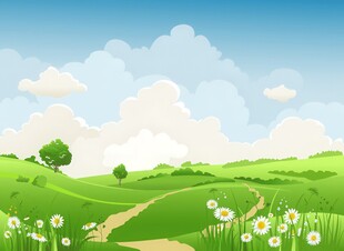 春光明媚户外风景鲜花草地