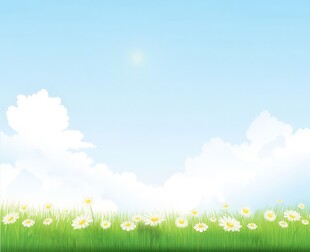 春光明媚户外风景鲜花草地