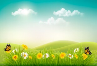 春光明媚户外风景鲜花草地