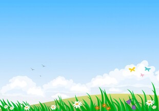 春光明媚户外风景鲜花草地