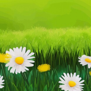 春光明媚户外风景鲜花草地