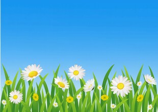 春光明媚户外风景鲜花草地