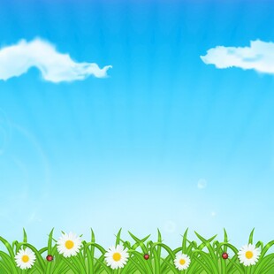 春光明媚户外风景鲜花草地