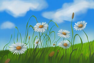 春光明媚户外风景鲜花草地