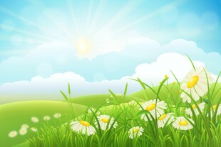 春光明媚户外风景鲜花草地