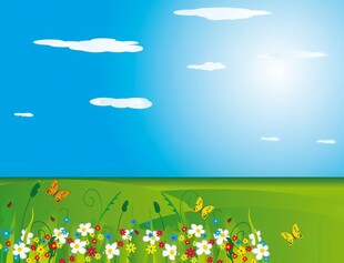 春光明媚户外风景鲜花草地