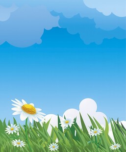 春光明媚户外风景鲜花草地