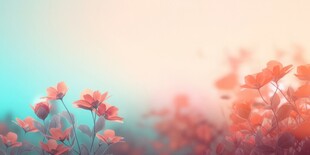 明媚清晨鲜花蝴蝶菊花叶子草地图