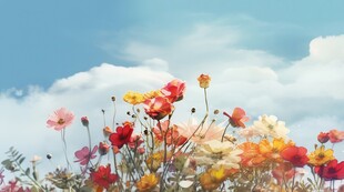 明媚清晨鲜花蝴蝶菊花叶子草地图