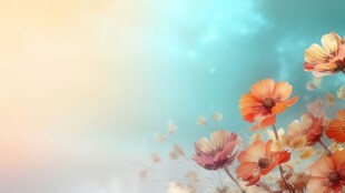 明媚清晨鲜花蝴蝶菊花叶子草地图