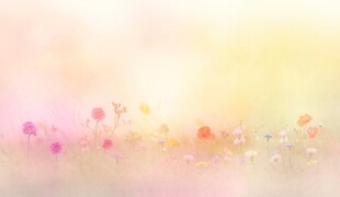 明媚清晨鲜花蝴蝶菊花叶子草地图