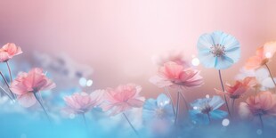 明媚清晨鲜花蝴蝶菊花叶子草地图