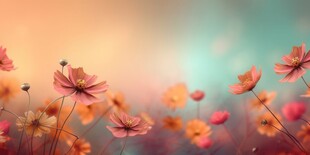 明媚清晨鲜花蝴蝶菊花叶子草地图