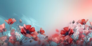 明媚清晨鲜花蝴蝶菊花叶子草地图