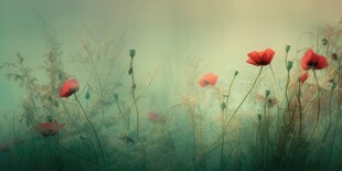 明媚清晨鲜花蝴蝶菊花叶子草地图