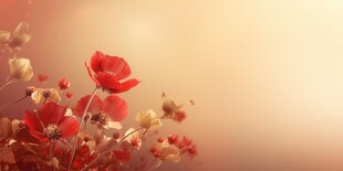 明媚清晨鲜花蝴蝶菊花叶子草地图