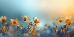 明媚清晨鲜花蝴蝶菊花叶子草地图