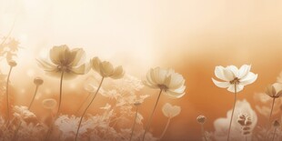 明媚清晨鲜花蝴蝶菊花叶子草地图