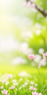 明媚清晨鲜花蝴蝶菊花叶子草地图