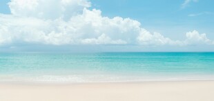 海滩景色云椰子树大海沙滩