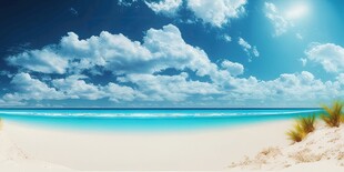 海滩景色云椰子树大海沙滩