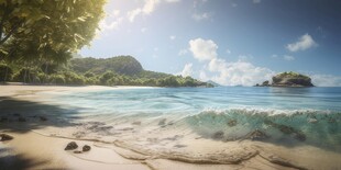 海滩景色云椰子树大海沙滩