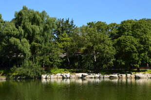 公园风景 