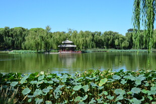 公园风景  