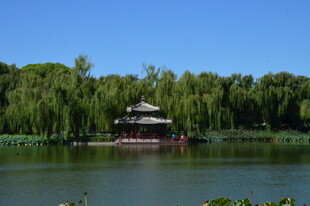 公园风景  