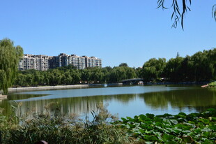 公园风景 