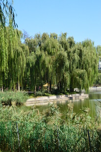 公园风景  