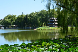 公园风景  