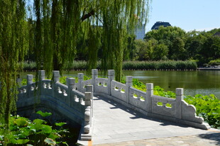 公园风景 