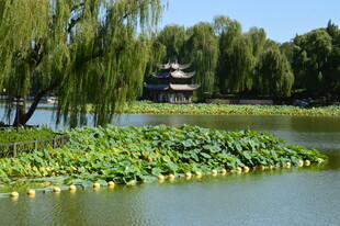 公园风景 