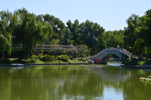 公园风景  