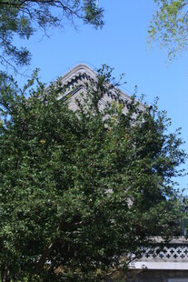 公园风景  