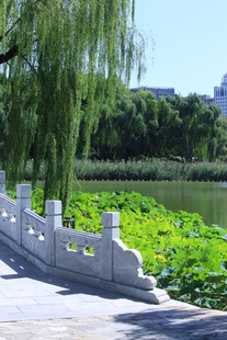公园风景  