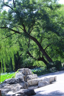 公园风景 
