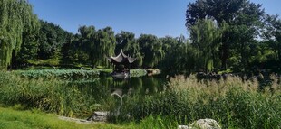 公园风景  