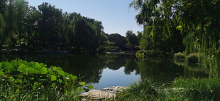 公园风景  