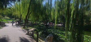 公园风景 