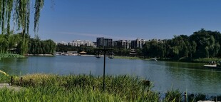 公园风景  