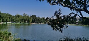 公园风景 