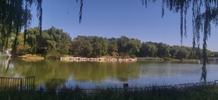 公园风景 