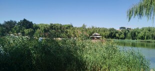 公园风景  