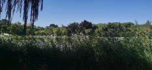公园风景  