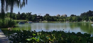 公园风景 