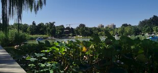 公园风景  