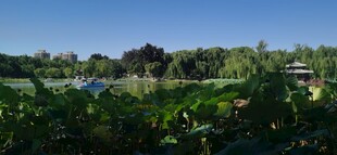 公园风景  