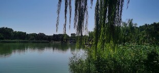公园风景 